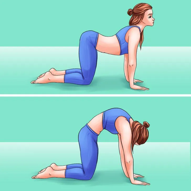 Идеи Новости Идеи Новости