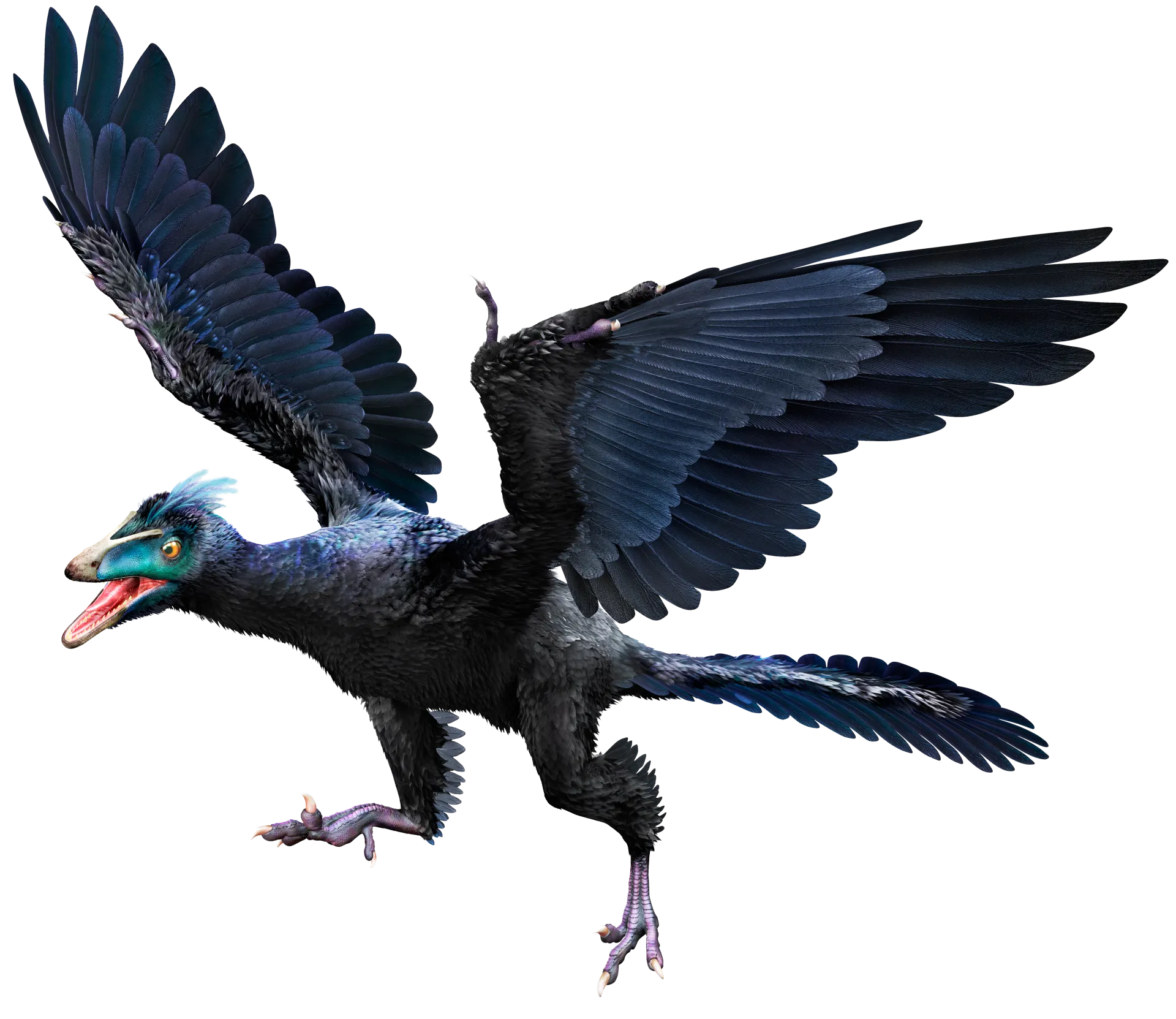 Археоптерикс Археоптерикс