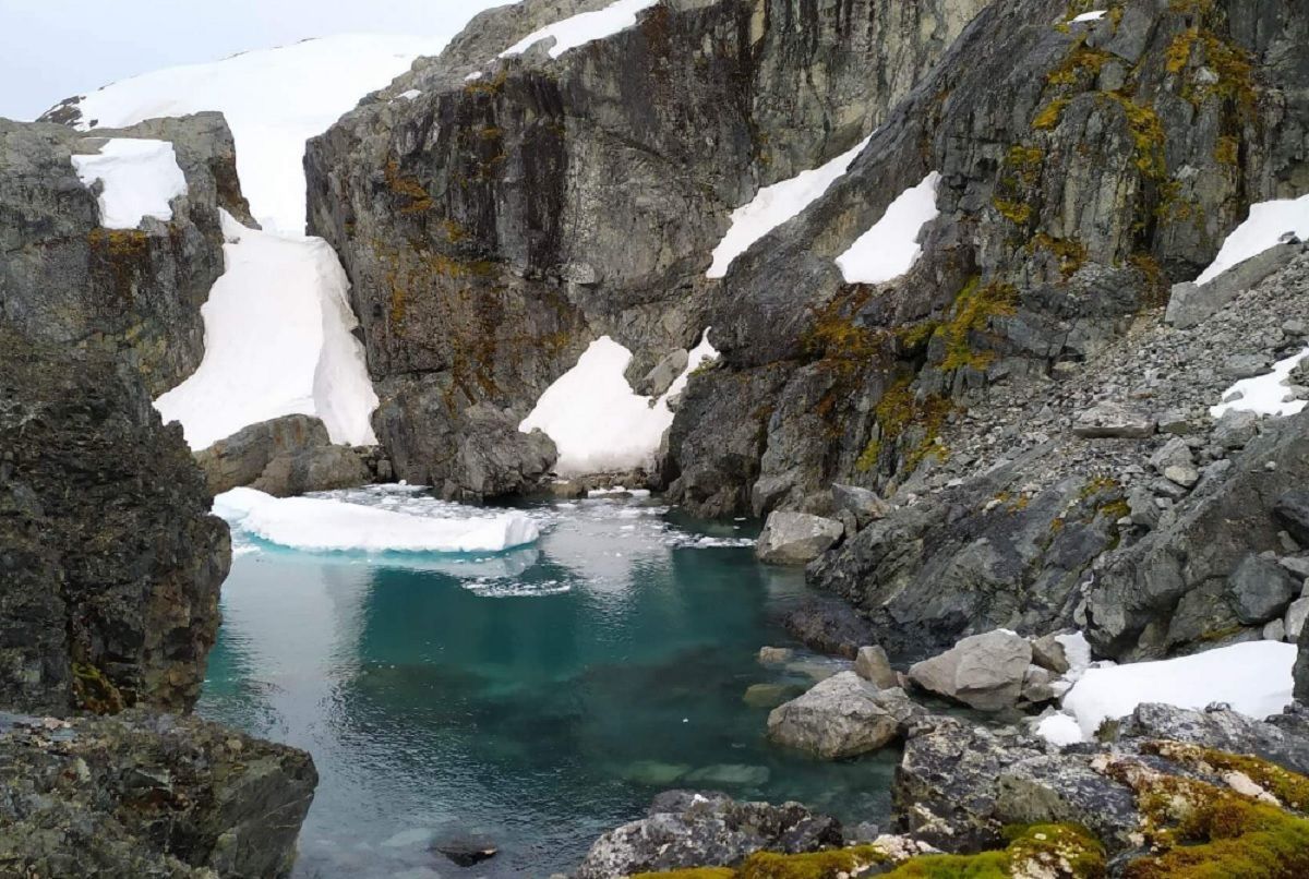 Почти +13 градусов: на "Академике Вернадском" зафиксировали рекордную температуру - 24 Канал Почти +13 градусов: на "Академике Вернадском" зафиксировали рекордную температуру - 24 Канал