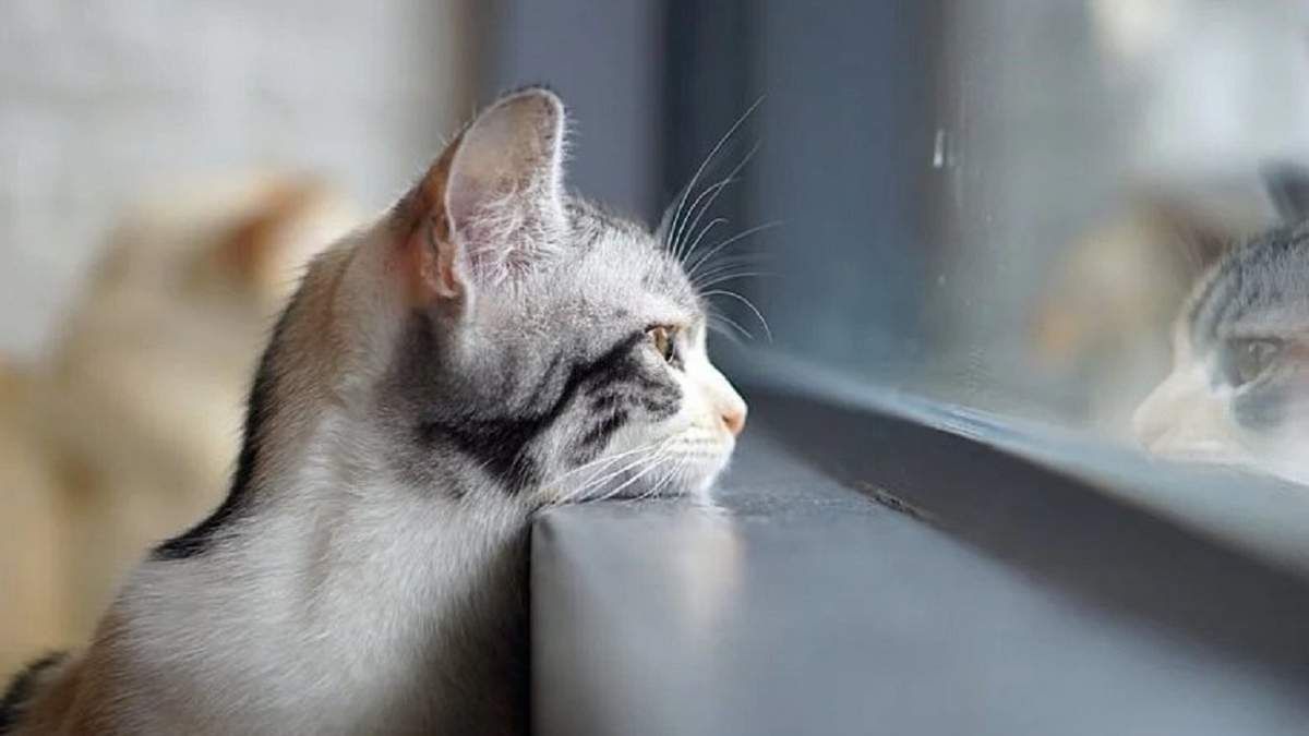 В Украину идет потепление до +11 градусов: прогноз погоды на 11 февраля В Украину идет потепление до +11 градусов: прогноз погоды на 11 февраля