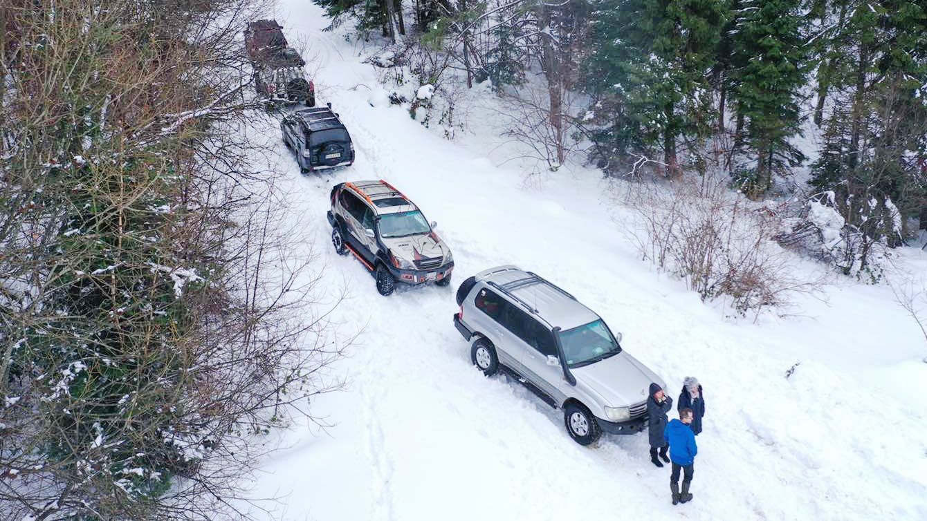Гонки на джипах в карпатском заповеднике: поляков не смогли наказать Гонки на джипах в карпатском заповеднике: поляков не смогли наказать