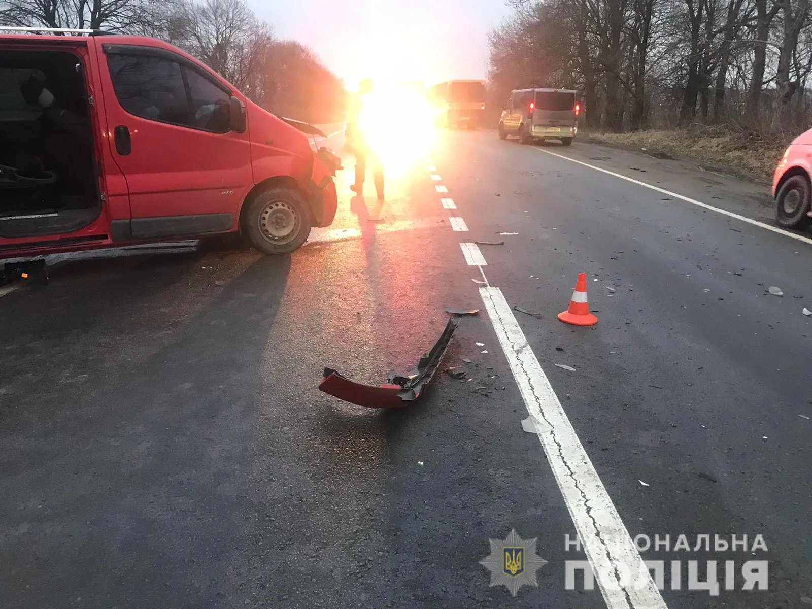 В лобовій ДТП біля Львова травмувалися дівчата-підлітки: фото з місця ДТП