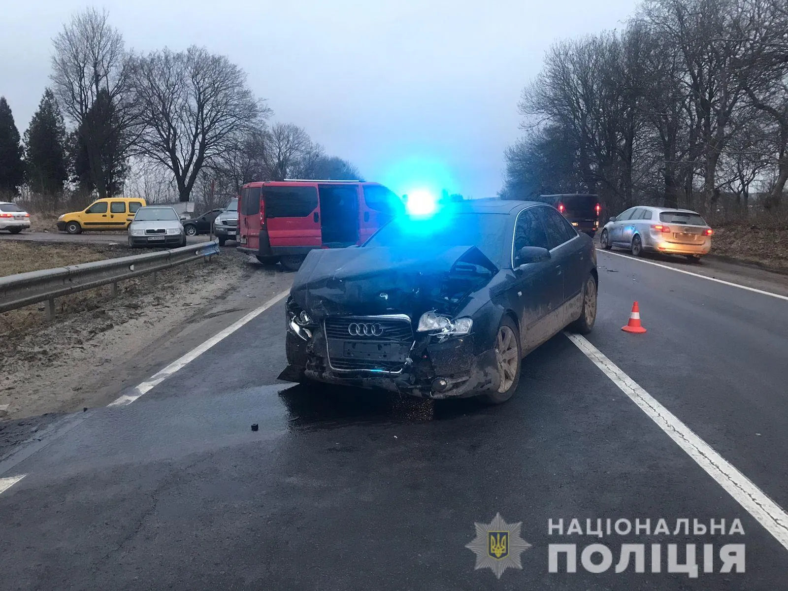 В лобовій ДТП біля Львова травмувалися дівчата-підлітки: фото з місця ДТП