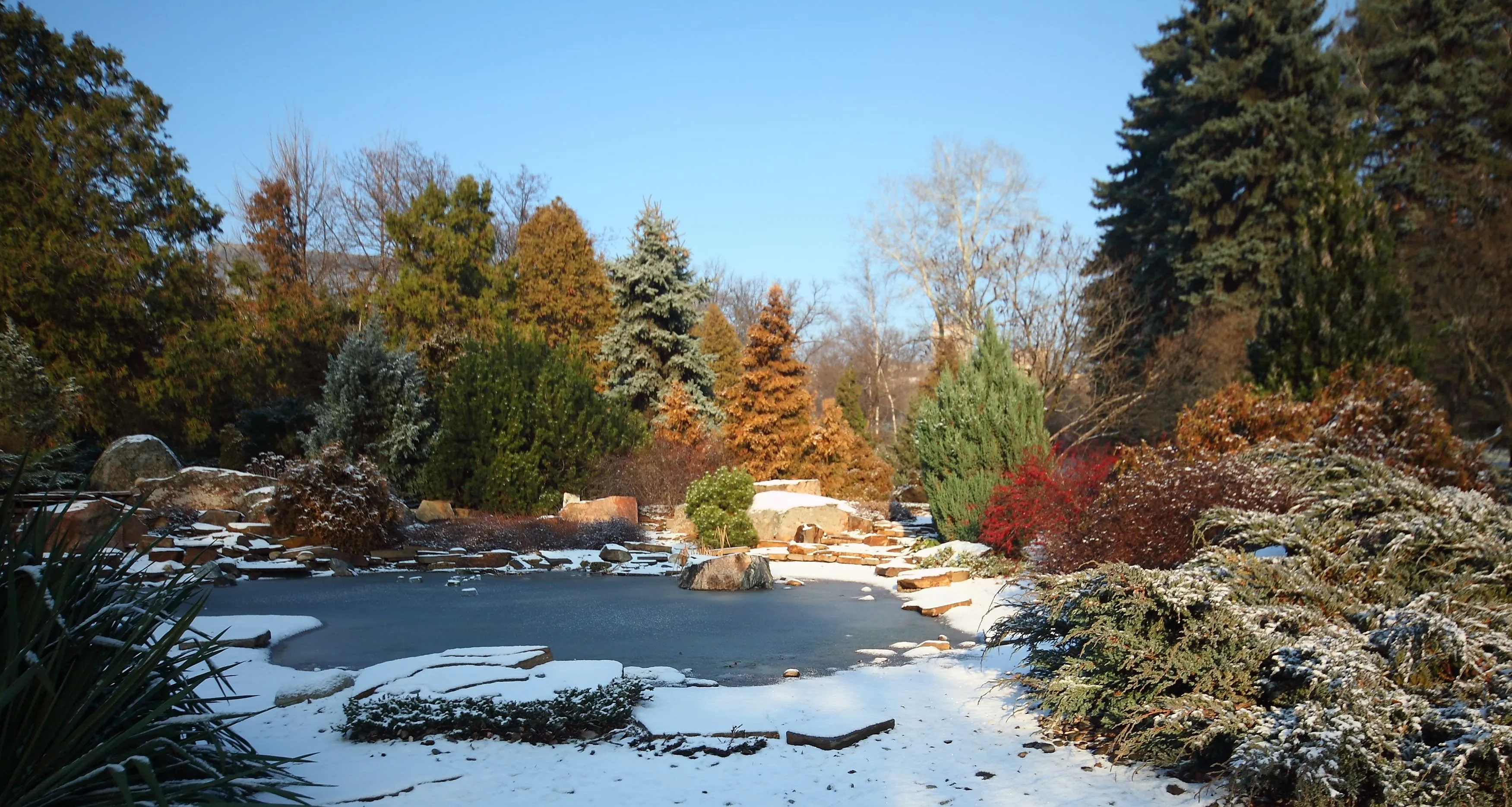 Ботанічний сад Харківського університету Каразіна Ботанічний сад Харківського університету Каразіна