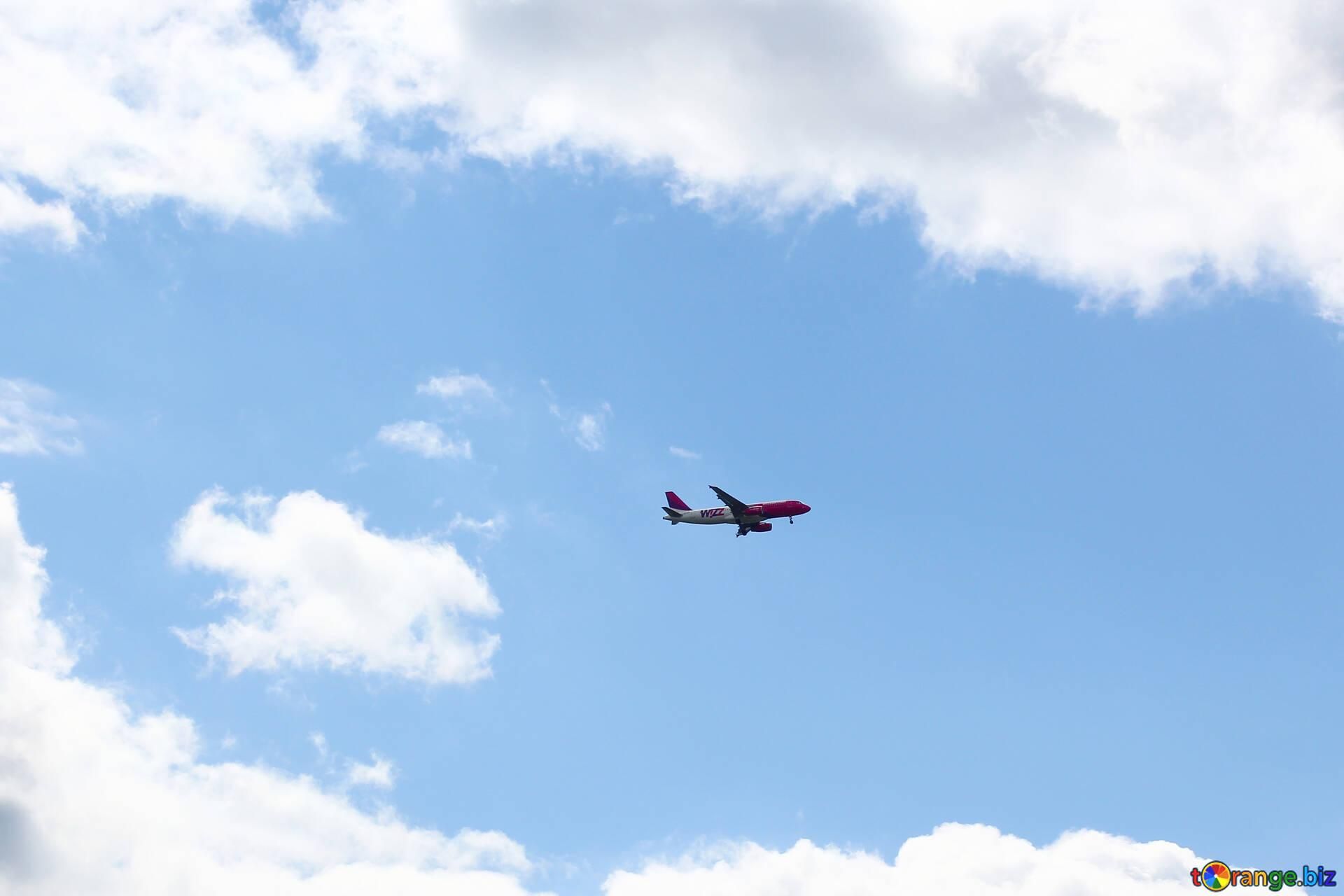 З Молдови виїхали українці, які були на борту літака SkyUp - Україна новини - 24 Канал З Молдови виїхали українці, які були на борту літака SkyUp - Україна новини - 24 Канал