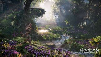 Выполни "ачивку" – посади дерево: в достижениях Horizon Forbidden West нашли уникальный трофей Выполни "ачивку" – посади дерево: в достижениях Horizon Forbidden West нашли уникальный трофей