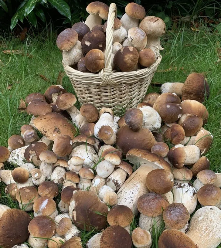 Особливості життя у Швеції Особливості життя у Швеції