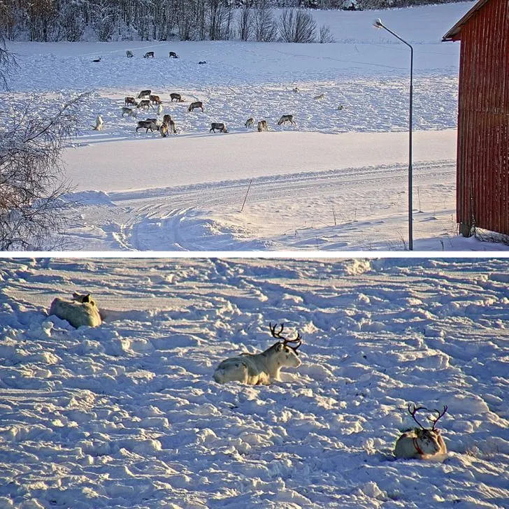 Особливості життя у Швеції Особливості життя у Швеції