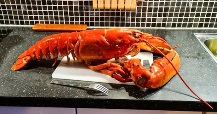 Особливості життя у Швеції Особливості життя у Швеції