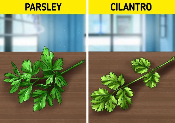 Идеи новости Лайфхаки Идеи новости Лайфхаки