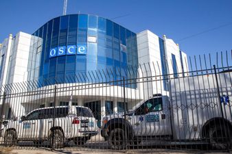 Ирландия отзывает своих наблюдателей с миссии ОБСЕ в Украине