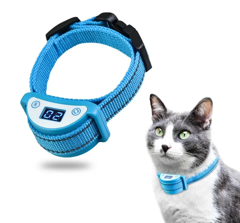 Так виглядає нашийник Так виглядає нашийник