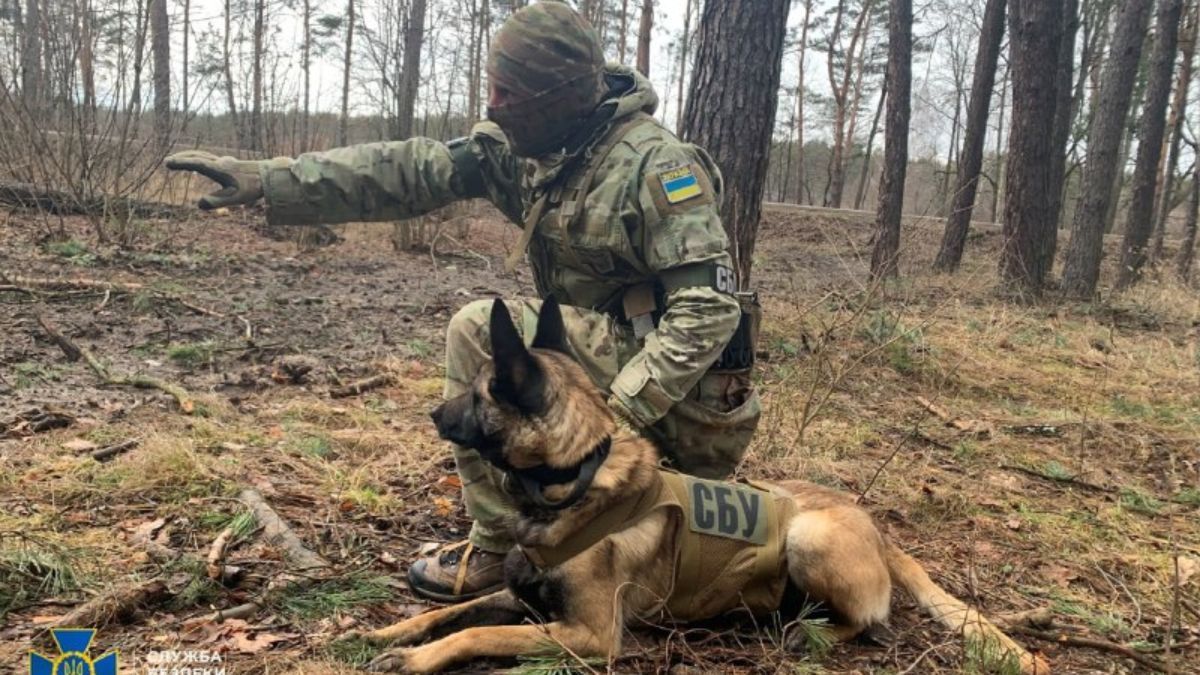 СБУ на границе с Беларусью тренировалась предотвращать диверсии: фото учений - Новости Житомир - 24 Канал СБУ на границе с Беларусью тренировалась предотвращать диверсии: фото учений - Новости Житомир - 24 Канал