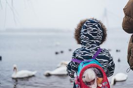 Усюди сонячно, а на Заході – дощ: прогноз погоди на 21 лютого