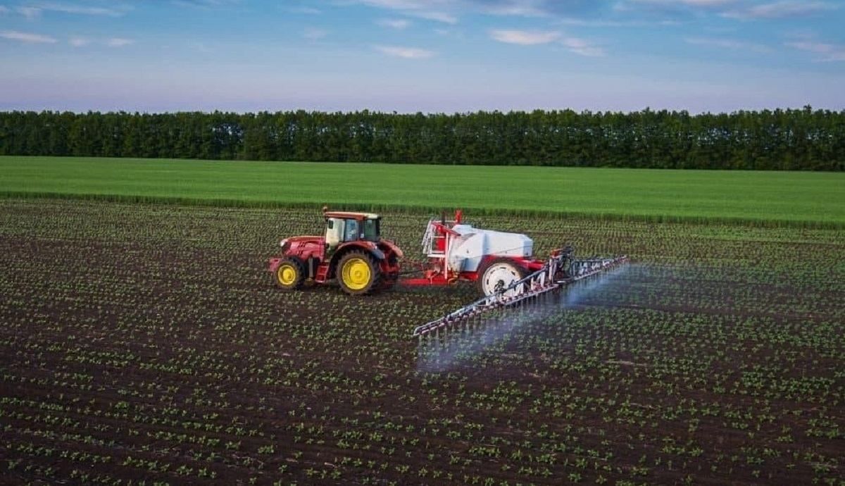 В ЄС "екстрено" використовують юридично заборонені неонікотиноїди, – експерт - 24 Канал В ЄС "екстрено" використовують юридично заборонені неонікотиноїди, – експерт - 24 Канал