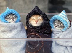 В Україну суне похолодання: коли та де його чекати