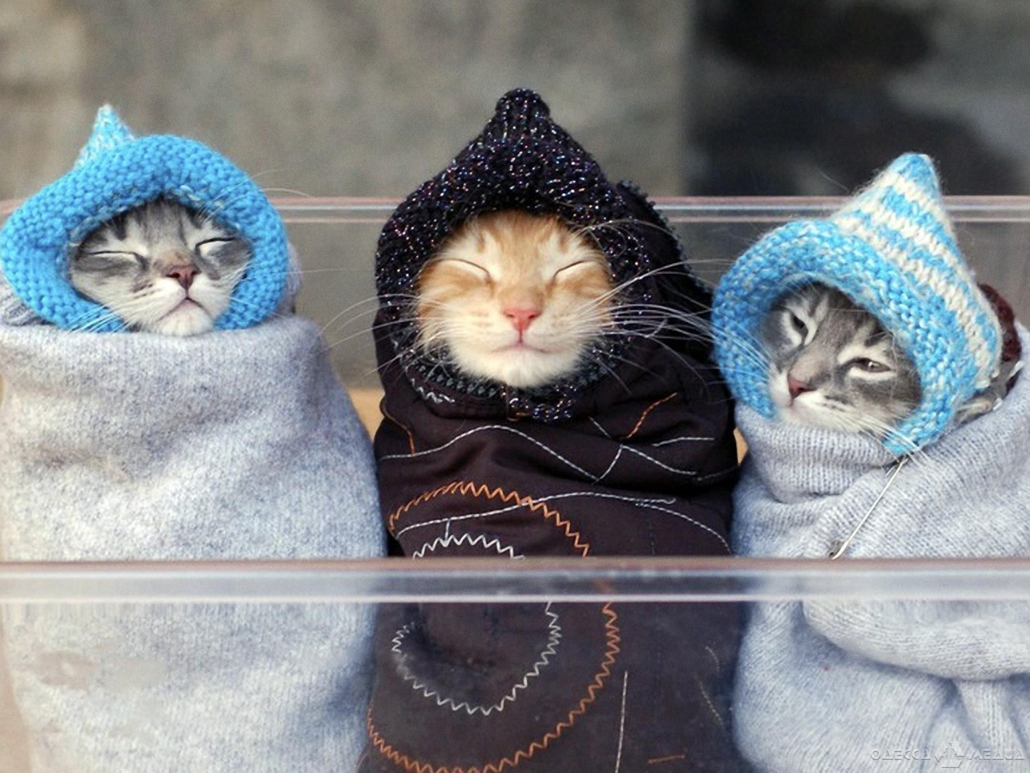 В Украину движется похолодание: когда и где его ждать В Украину движется похолодание: когда и где его ждать