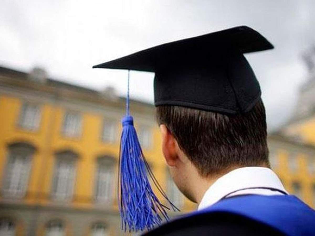 Чому випускники університетів не задовольняють роботодавців - Освіта