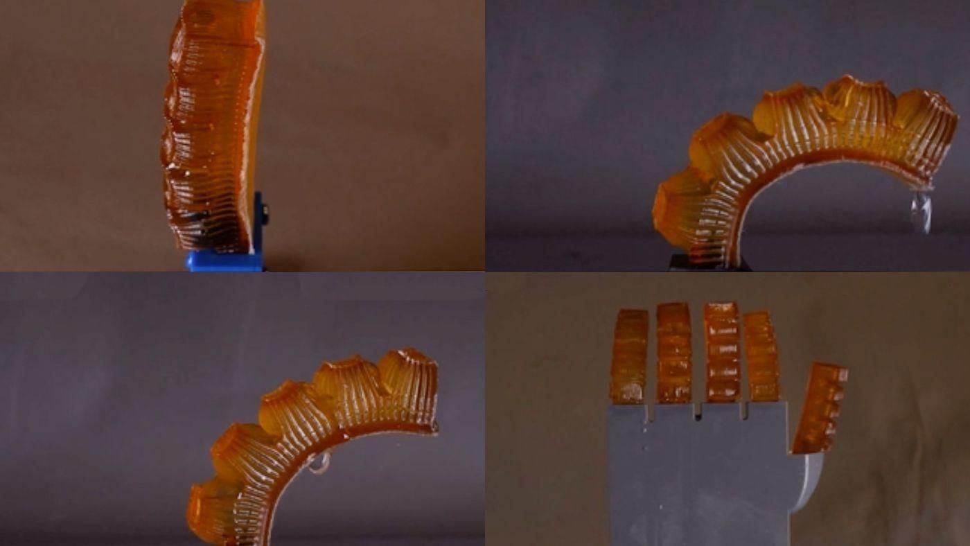 Гибкую робо-руку "научили" потеть, чтобы избежать перегрева Гибкую робо-руку "научили" потеть, чтобы избежать перегрева