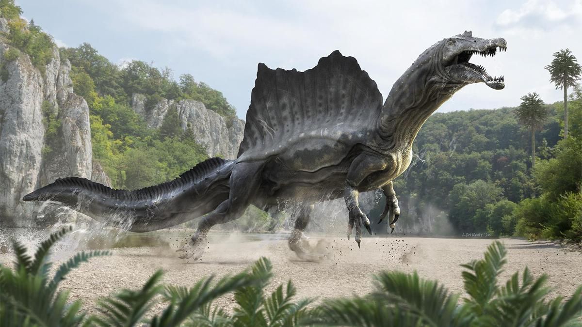 23 года назад: в Португалии открыли новый вид спинозавра