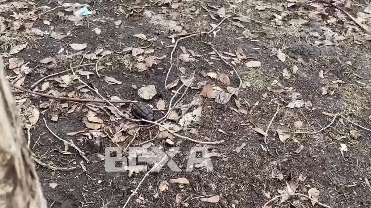 В Харькове вблизи жилого дома обнаружили гранату без чеки: видео с места происшествия В Харькове вблизи жилого дома обнаружили гранату без чеки: видео с места происшествия