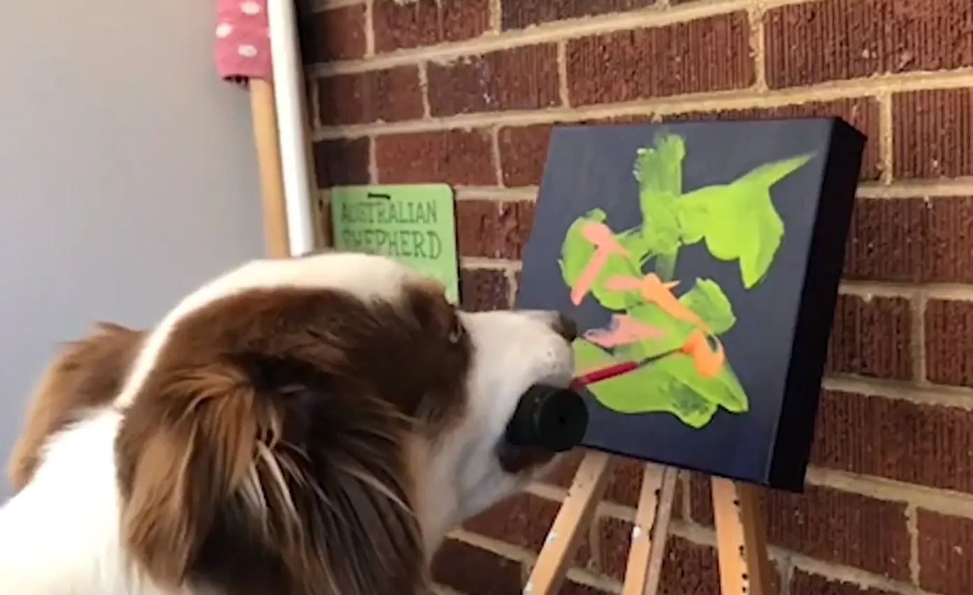 Собака малює зубами Собака малює зубами