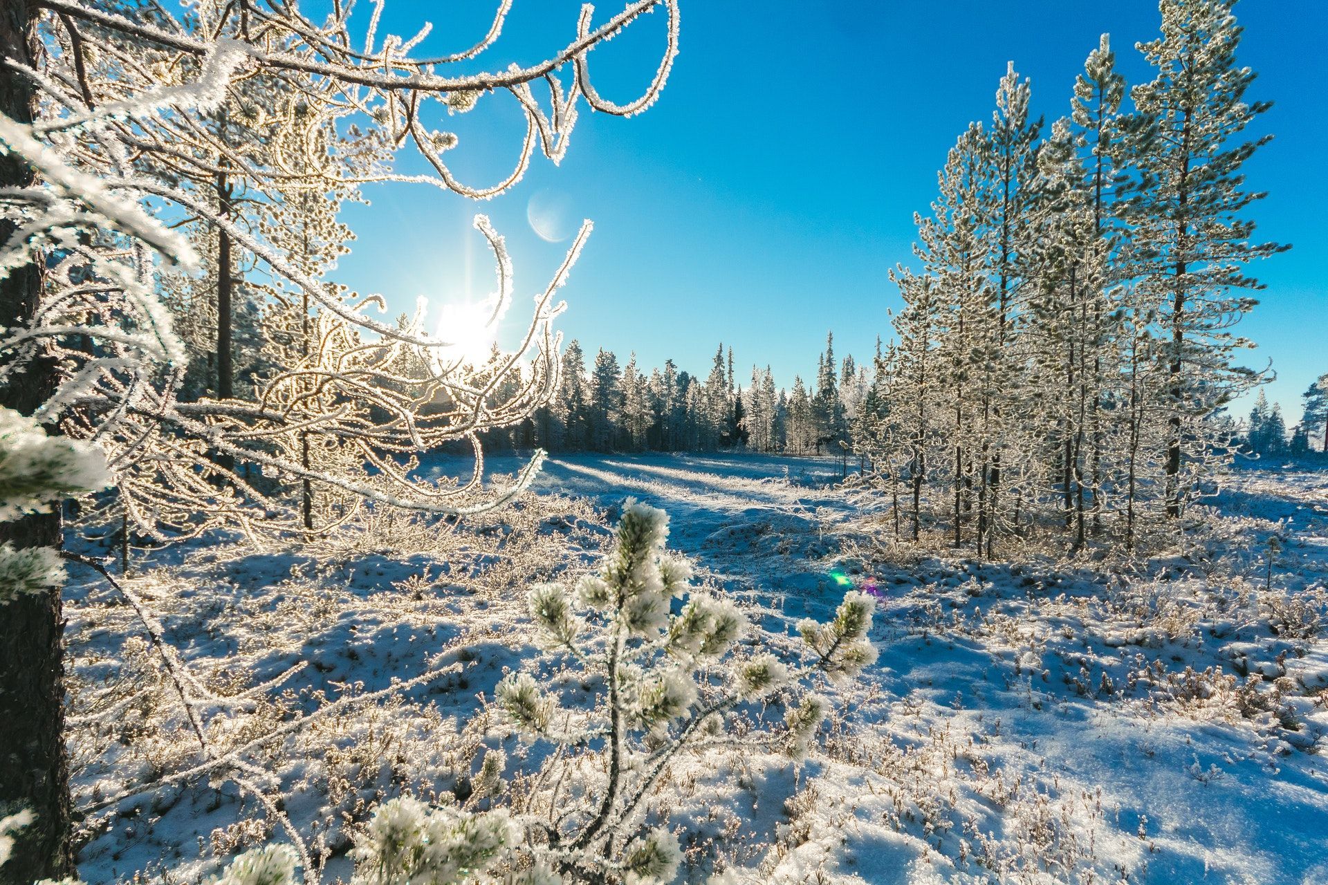23 февраля – какой сегодня праздник и что нельзя делать в этот день