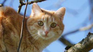 В Україні триває потепління: прогноз погоди на 24 лютого