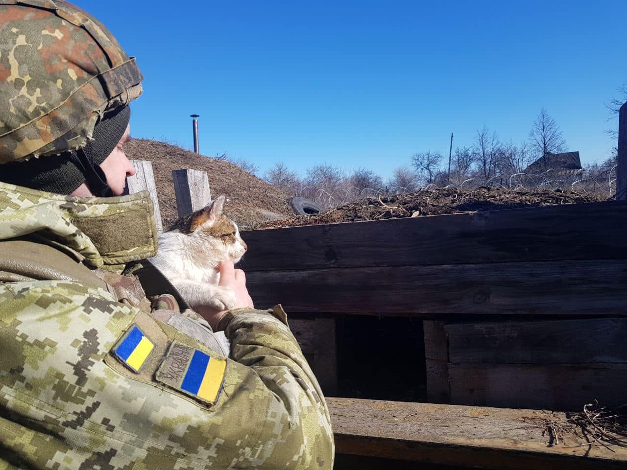 На Змеином погибли 13 пограничников – все детали нападения На Змеином погибли 13 пограничников – все детали нападения