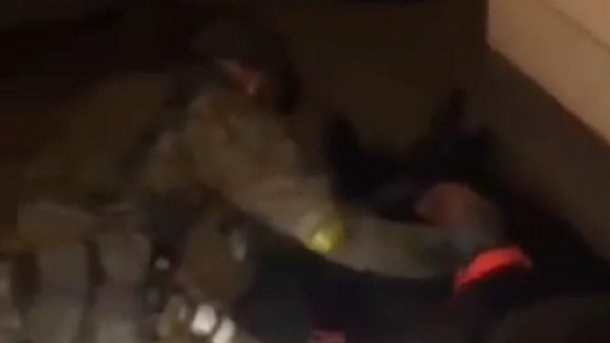 На Троєщині затримано 60 диверсантів - 24 Канал На Троєщині затримано 60 диверсантів - 24 Канал