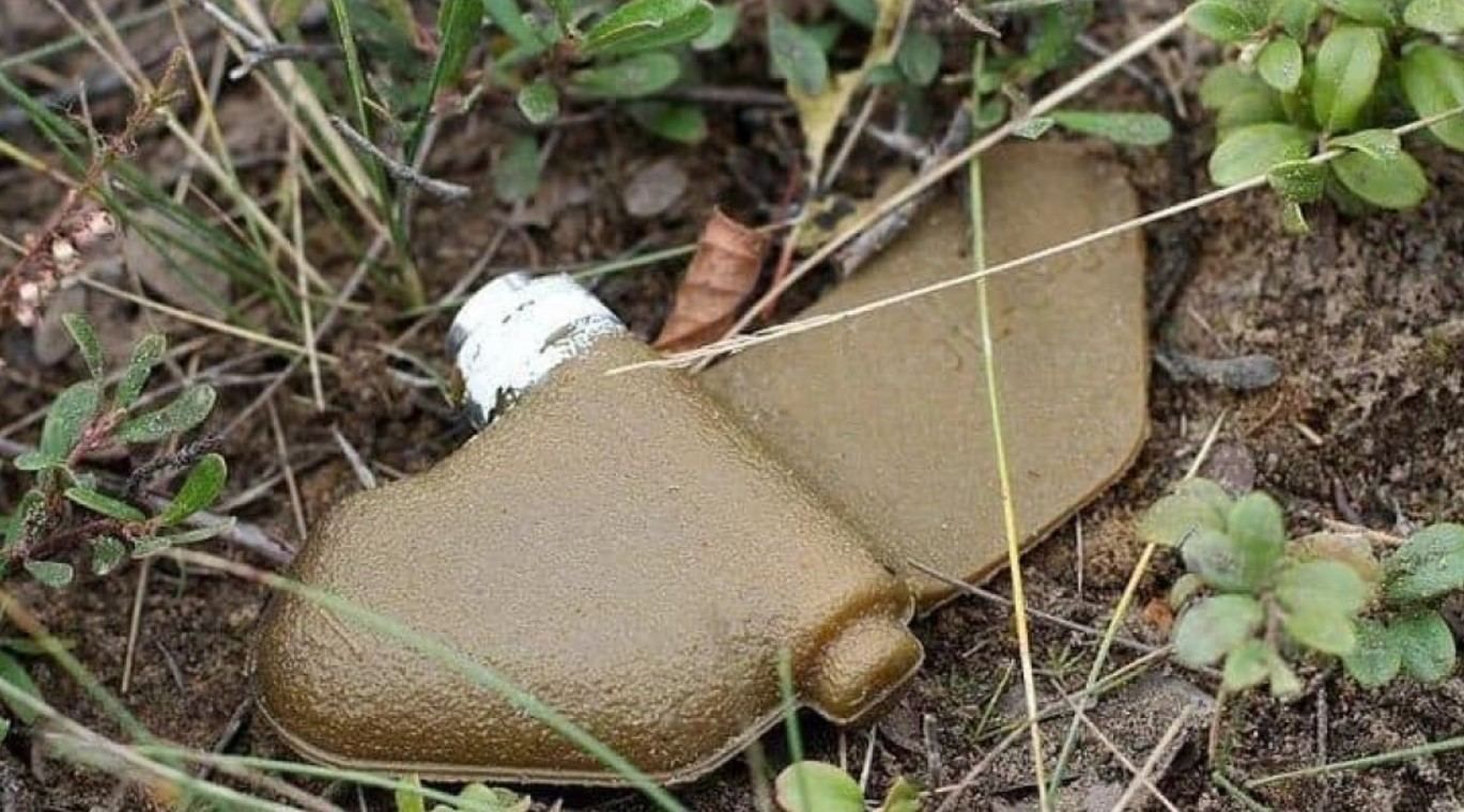 Ймовірно, протипіхотні міни: на Чернігівщині ворог займається дистанційним мінуванням - 24 Канал Ймовірно, протипіхотні міни: на Чернігівщині ворог займається дистанційним мінуванням - 24 Канал