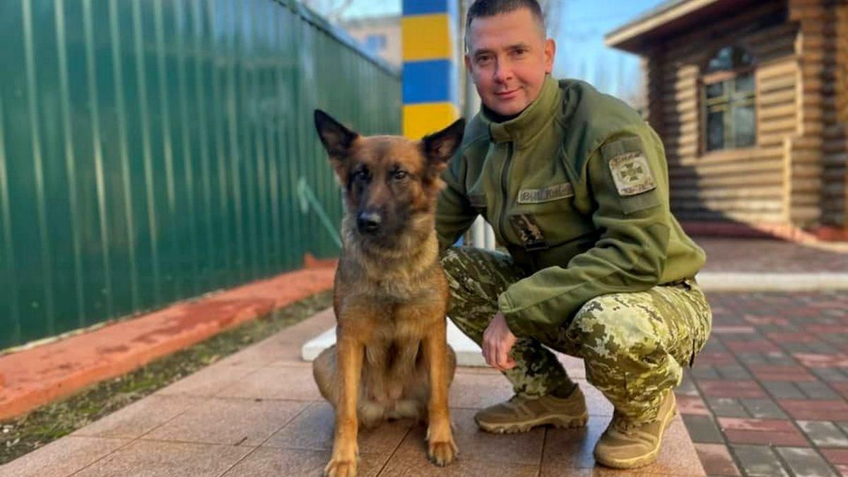 Собака пограничников тоже указала направление российским захватчикам: милое видео