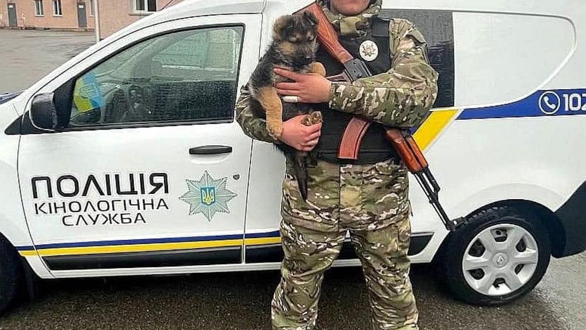 Влучно назвали: цуценя Байрактар поліції Київщини передбачає і попереджає про атаку ворога - 24 Канал Влучно назвали: цуценя Байрактар поліції Київщини передбачає і попереджає про атаку ворога - 24 Канал