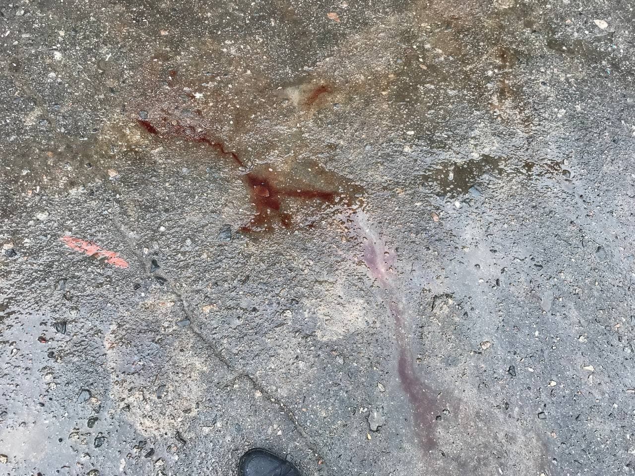 Бігли до підвалу ховатися: трагічні фото з дитсадка Охтирки, де загинули діти після обстрілу Бігли до підвалу ховатися: трагічні фото з дитсадка Охтирки, де загинули діти після обстрілу