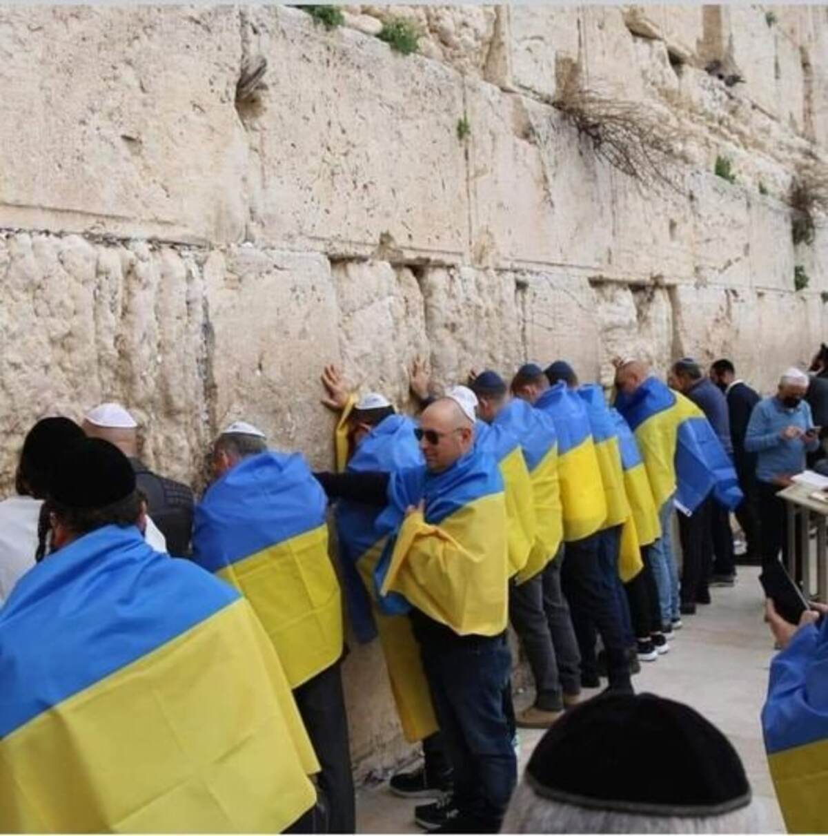 У Єрусалимі біля стіни плачу євреї моляться за Україну: промовисті фото - 24 Канал