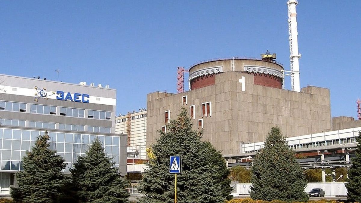 Трагічний сценарій неможливий, – в Міненерго кажуть, що Запорізька АЕС під надійною охороною - 24 Канал Трагічний сценарій неможливий, – в Міненерго кажуть, що Запорізька АЕС під надійною охороною - 24 Канал