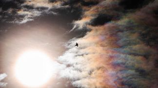 Думаю, це буде зроблено, – депутат Європарламенту не виключає закриття неба над Україною