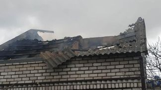 Під Миколаєвом боєприпас потрапив у притулок: загинули 20 тварин Під Миколаєвом боєприпас потрапив у притулок: загинули 20 тварин
