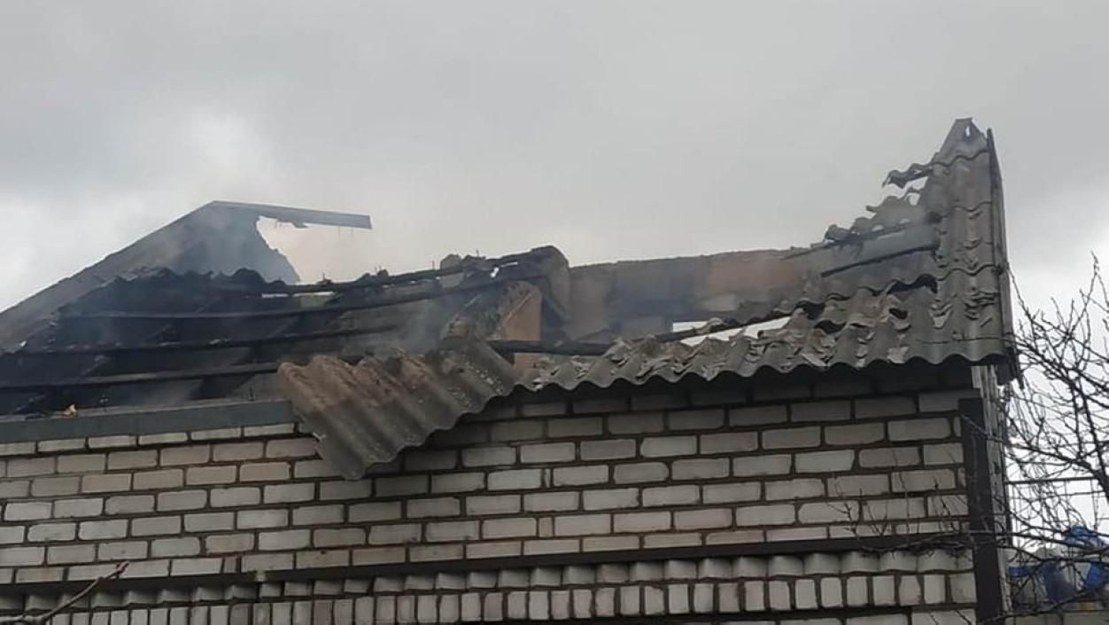 Під Миколаєвом боєприпас потрапив у притулок: загинули 20 тварин - 24 Канал Під Миколаєвом боєприпас потрапив у притулок: загинули 20 тварин - 24 Канал