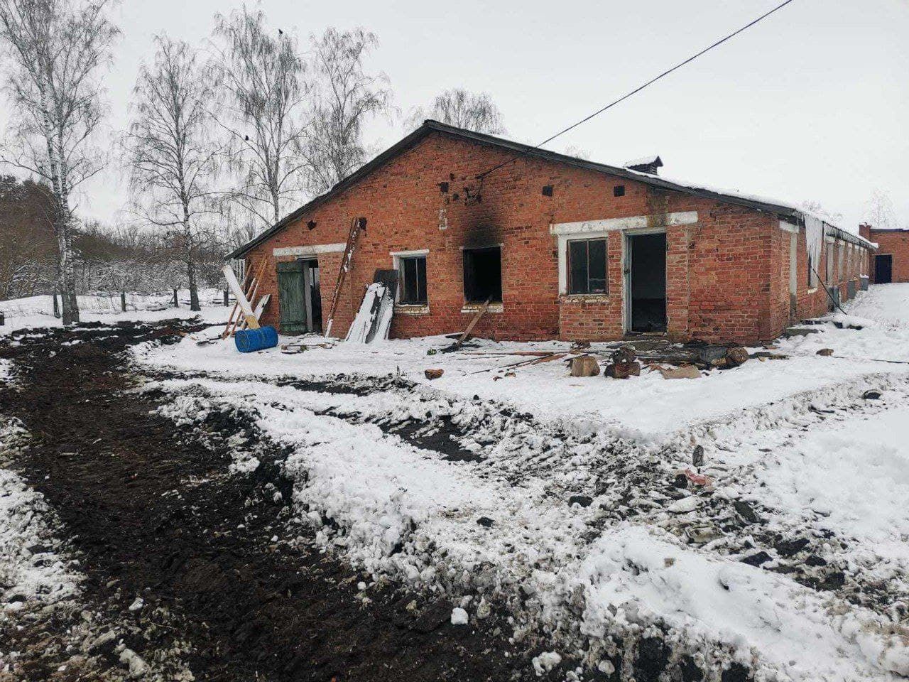 Потовкли клітки з курчатами: колона російської техніки зайняла територію пташника на Сумщині - 24 Канал Потовкли клітки з курчатами: колона російської техніки зайняла територію пташника на Сумщині - 24 Канал