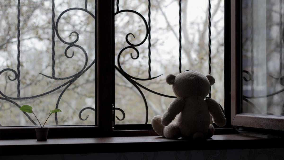 В Ворзеле остается очень много детей, неизвестна судьба детдома, – депутат В Ворзеле остается очень много детей, неизвестна судьба детдома, – депутат