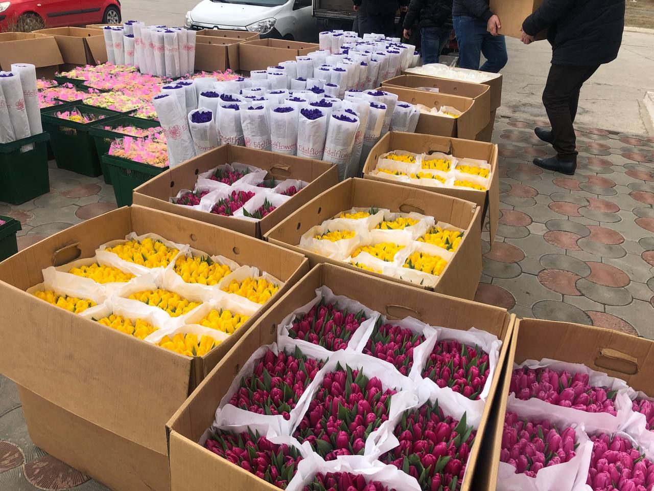 Женщинам в оккупированном Энергодаре будут дарить цветы на 8 марта