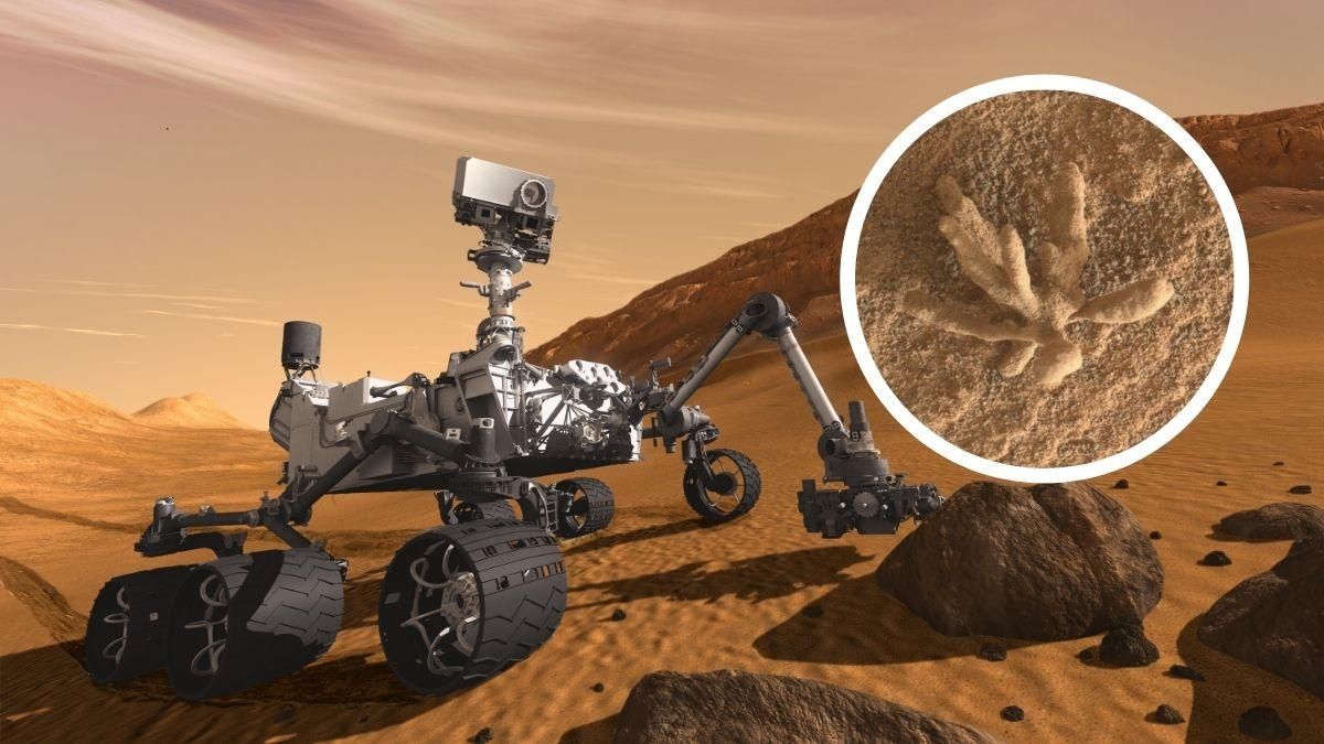 Ровер Curiosity зафиксировал красивый "цветок" на Марсе - Техно