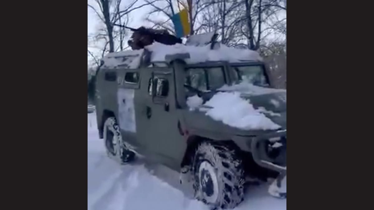 Російський "Тигр" із повним боєкомплектом захопили під Харковим: відео з трофеєм - 24 Канал