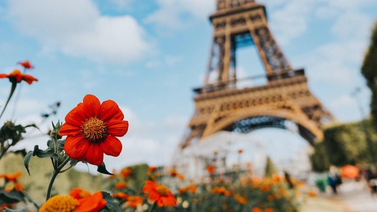 Пекар із Франції через мінне поле йшов до окупованої Василівки, щоб урятувати дівчину - 24 Канал Пекар із Франції через мінне поле йшов до окупованої Василівки, щоб урятувати дівчину - 24 Канал