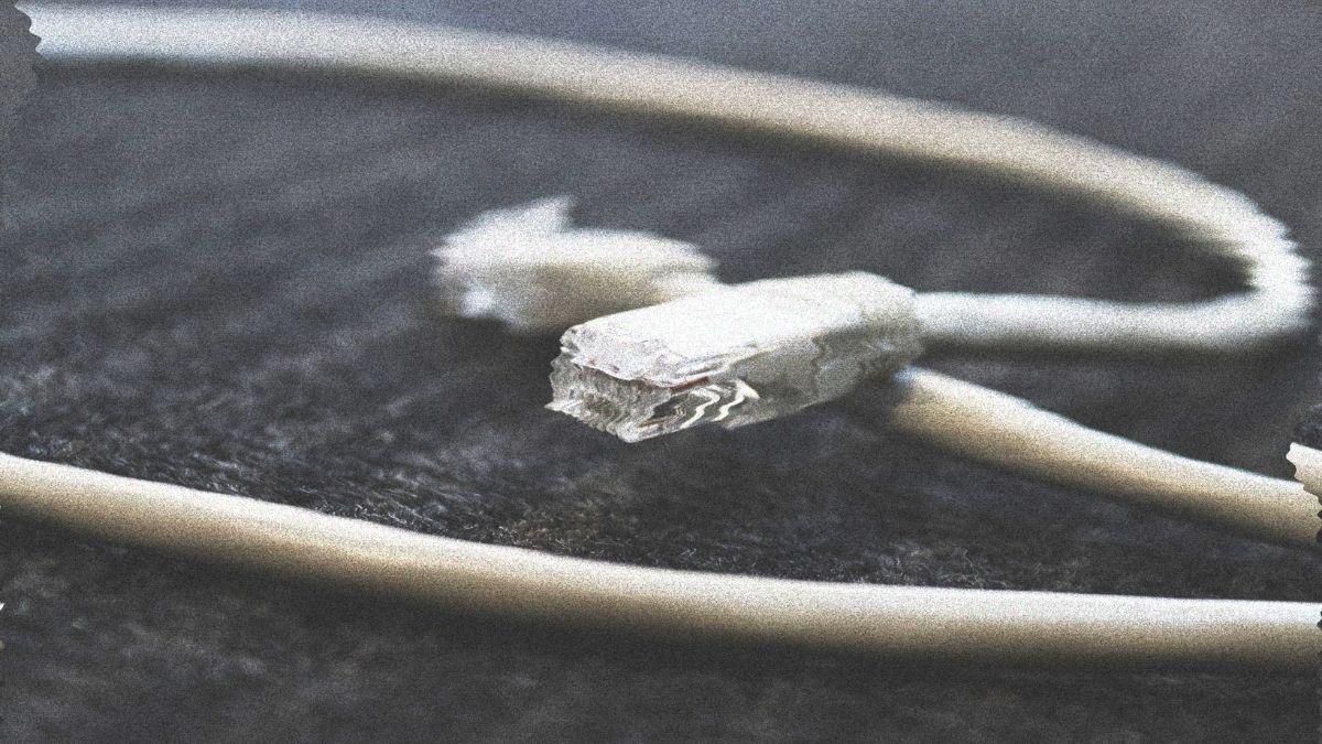 Магістральний інтернет-провайдер Lumen запровадив обмеження для російських компаній - Техно Магістральний інтернет-провайдер Lumen запровадив обмеження для російських компаній - Техно