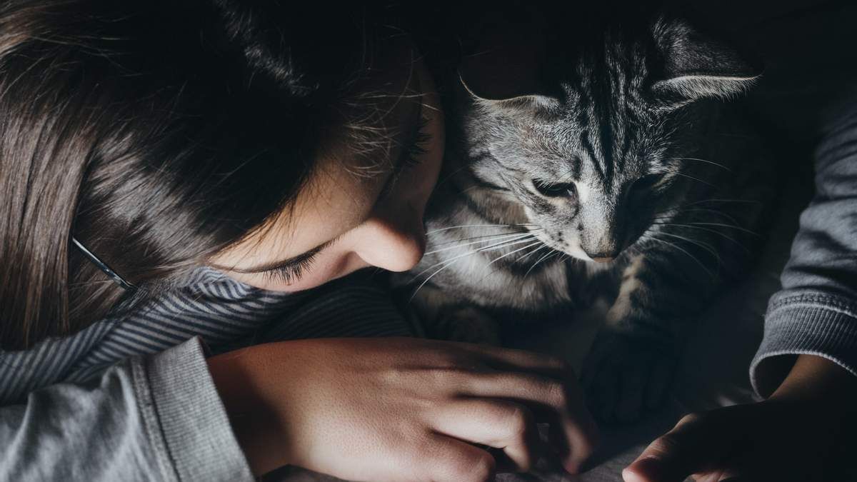 Пересечение границы с животными: какие документы нужны Пересечение границы с животными: какие документы нужны