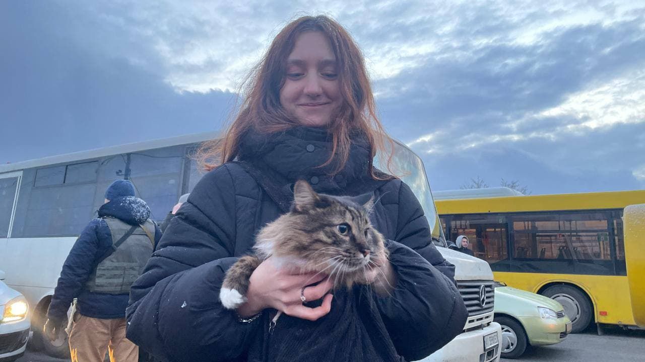 Чотирилапих не залишають у біді: зворушливі фото й відео евакуації - 24 Канал Чотирилапих не залишають у біді: зворушливі фото й відео евакуації - 24 Канал