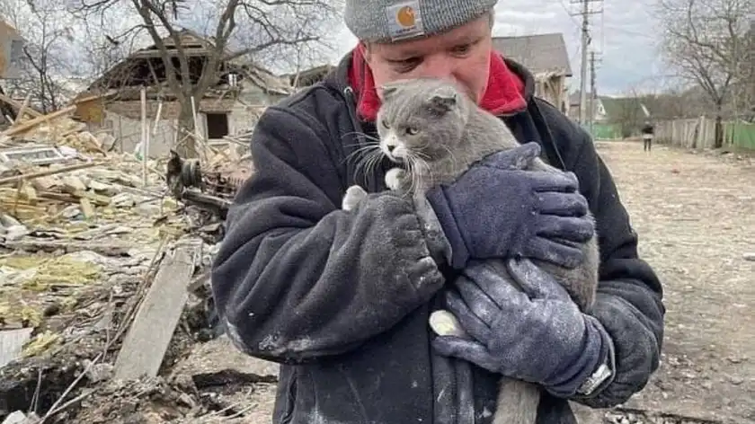 Залишився лише кіт: чоловік втратив усю сім'ю через авіаудар росіян – щемливе фото - 24 Канал