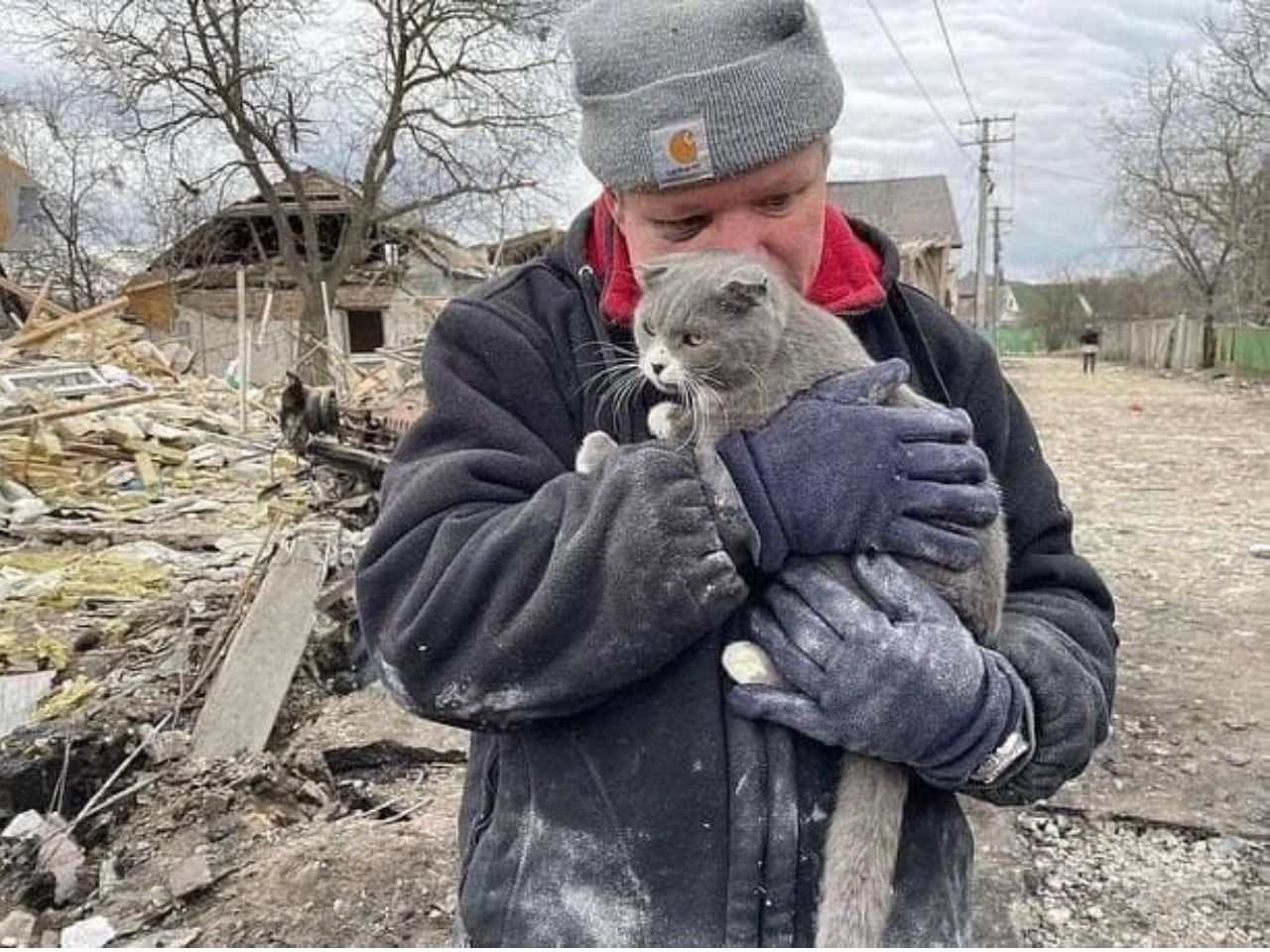 Остался только кот: мужчина потерял всю семью из-за авиаудара россиян – щемящее фото